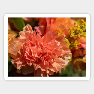 Carnation in Bouquet of Flowers Photographic Image Sticker